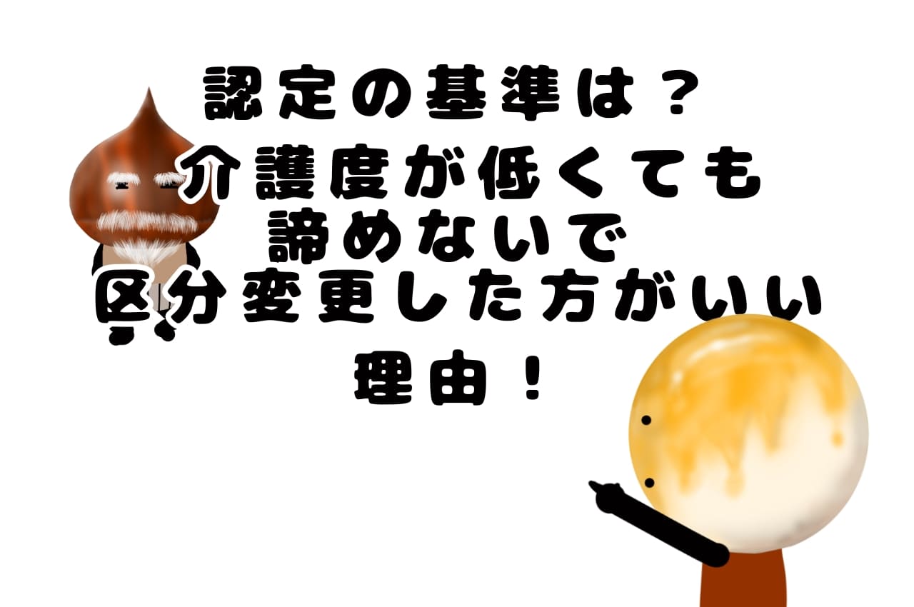 介護認定の基準は？介護度が低く出ても諦めないで区分変更した方がいい理由！