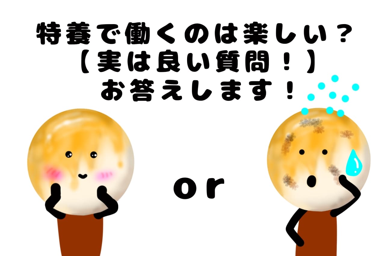 特養で働くのは楽しい？【実は良い質問！】お答えします！