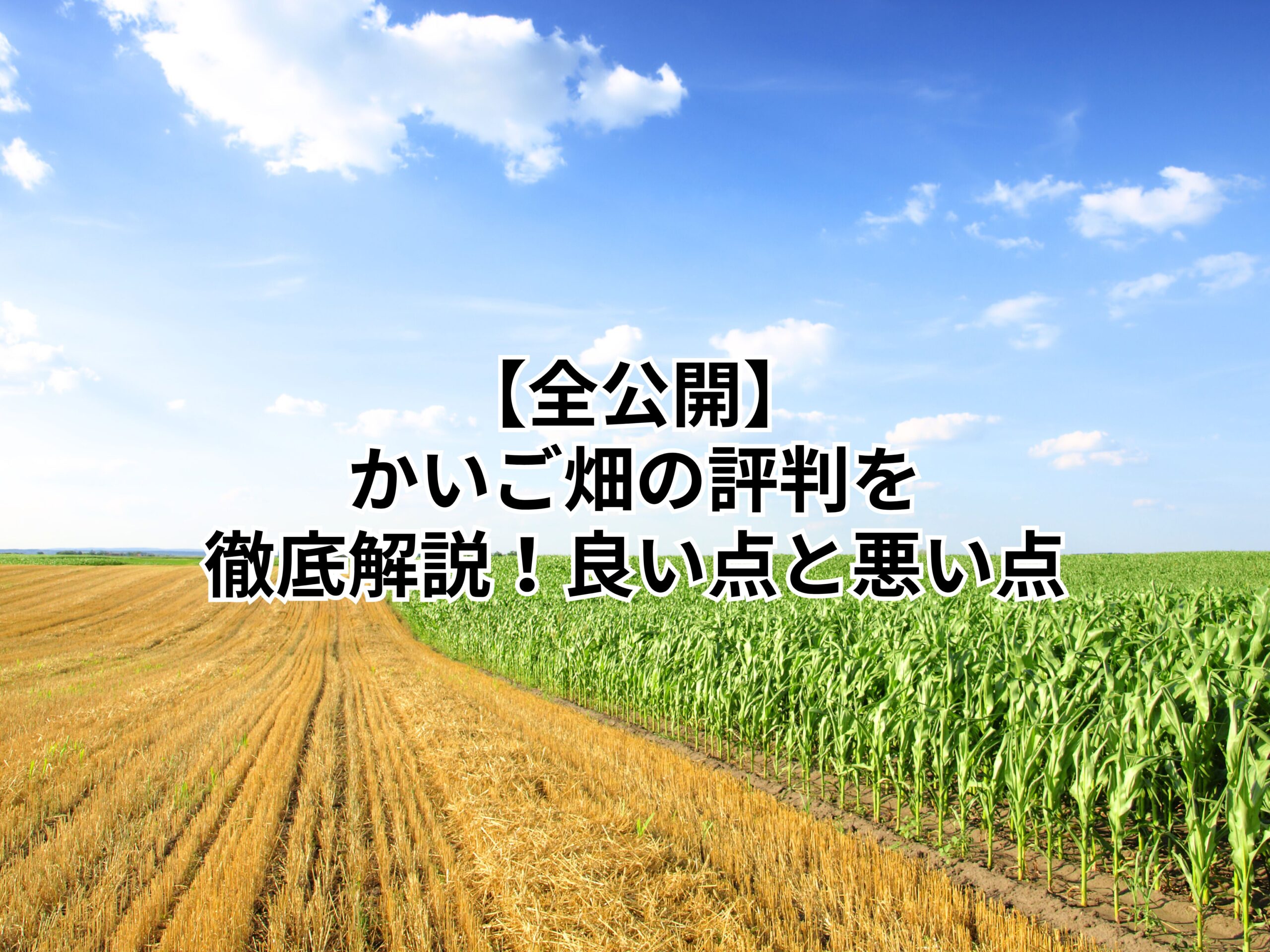 【全公開】かいご畑の評判を徹底解説！良い点と悪い点
